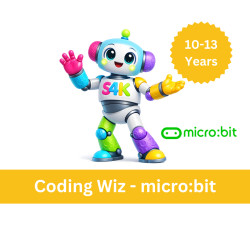 Coding Wiz - micro:bit programme