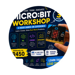 microbit workshop