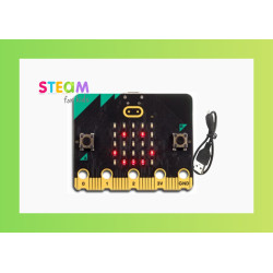 Micro:bit V2 + USB cable